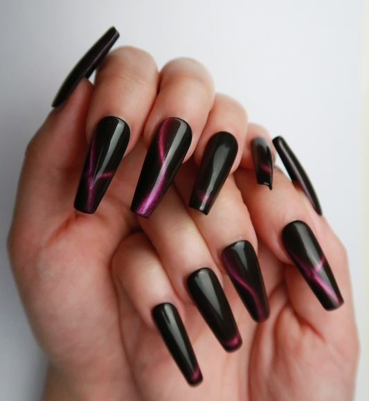 Northern Light Dance